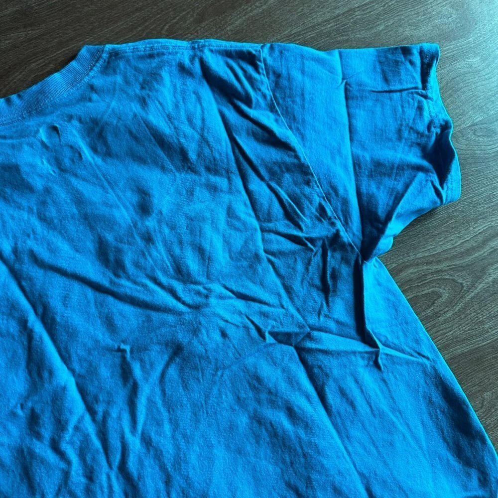 Hanes 2018 Awhonn Convention Tampa Florida Teal T-shirt Size L - Picture 11 of 14